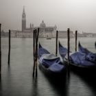 Venezia Classics