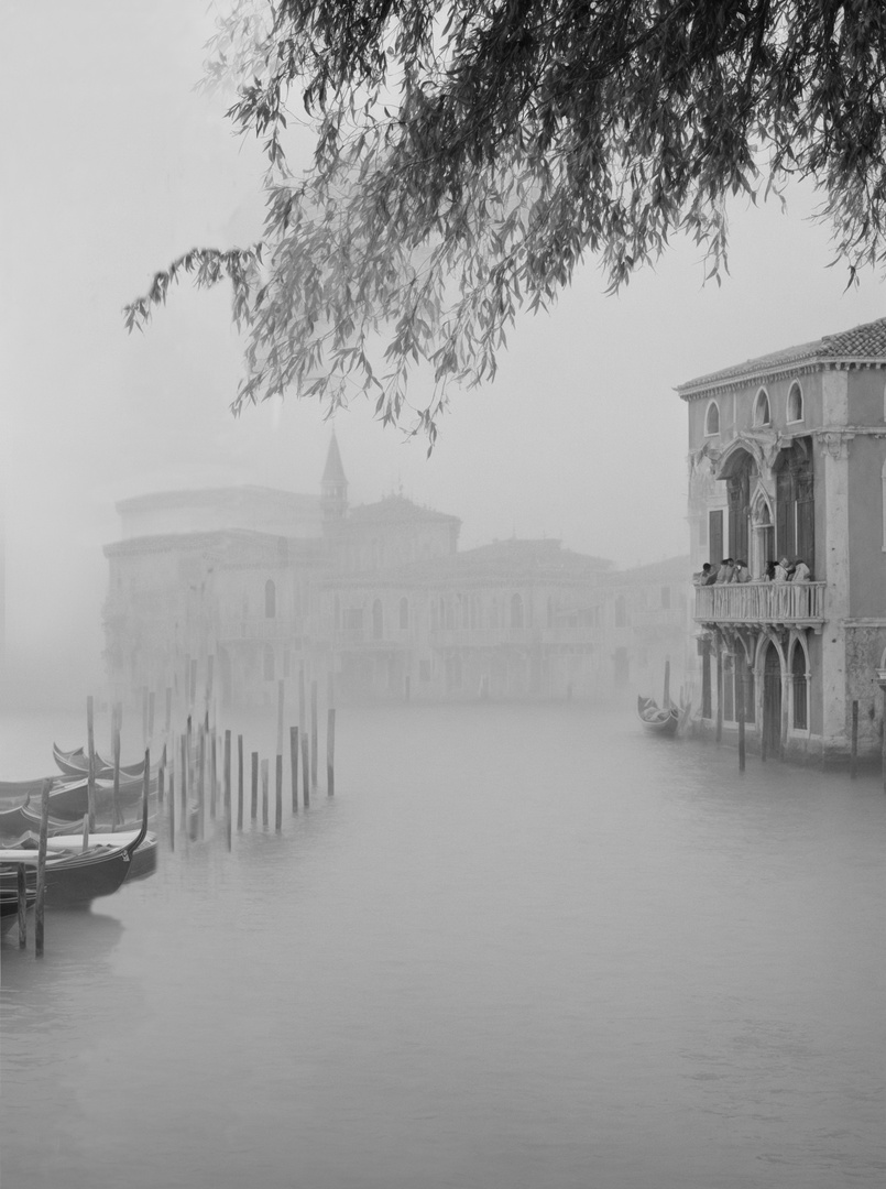 venezia con nebbia