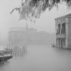 venezia con nebbia