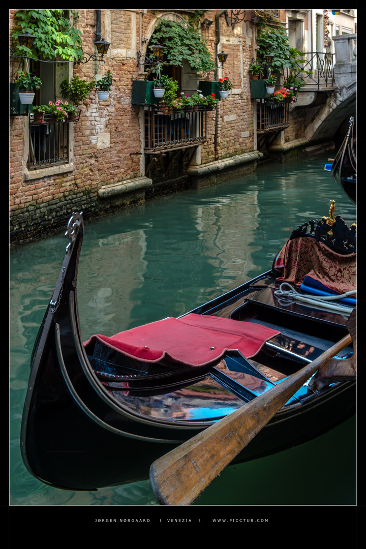 Venezia