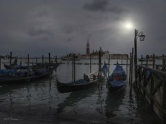 Venezia