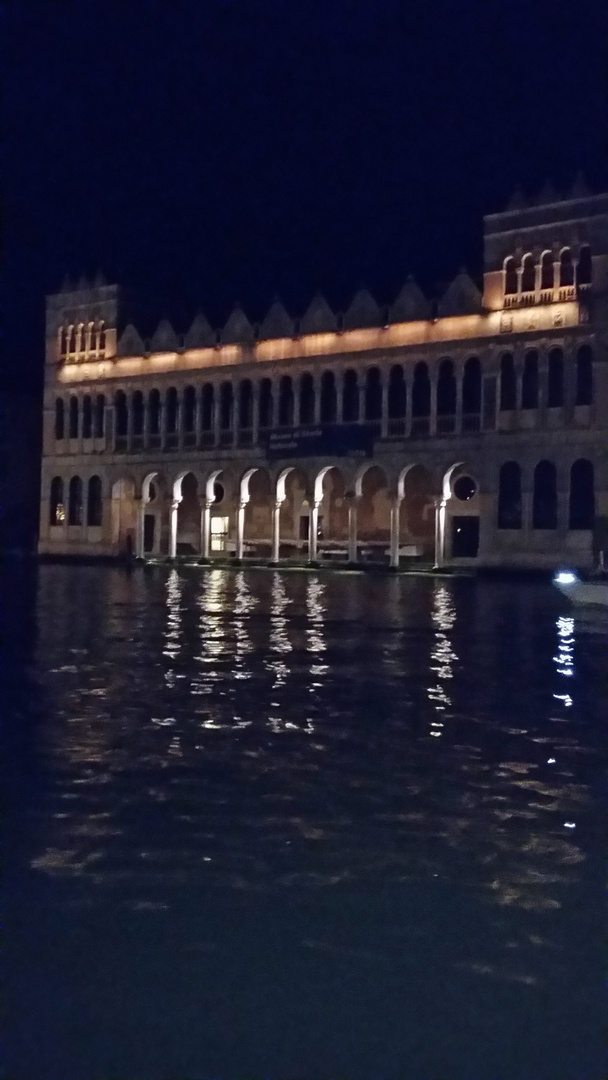 Venezia di notte