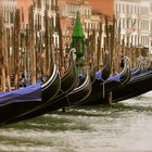 Venezia d'inverno