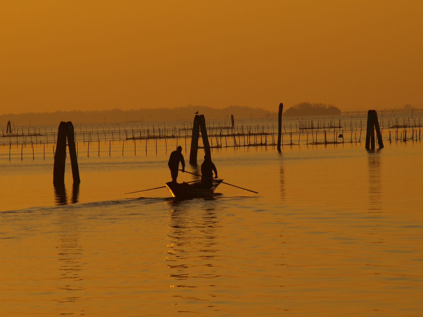 Venezia... e il suo tramonto invernale