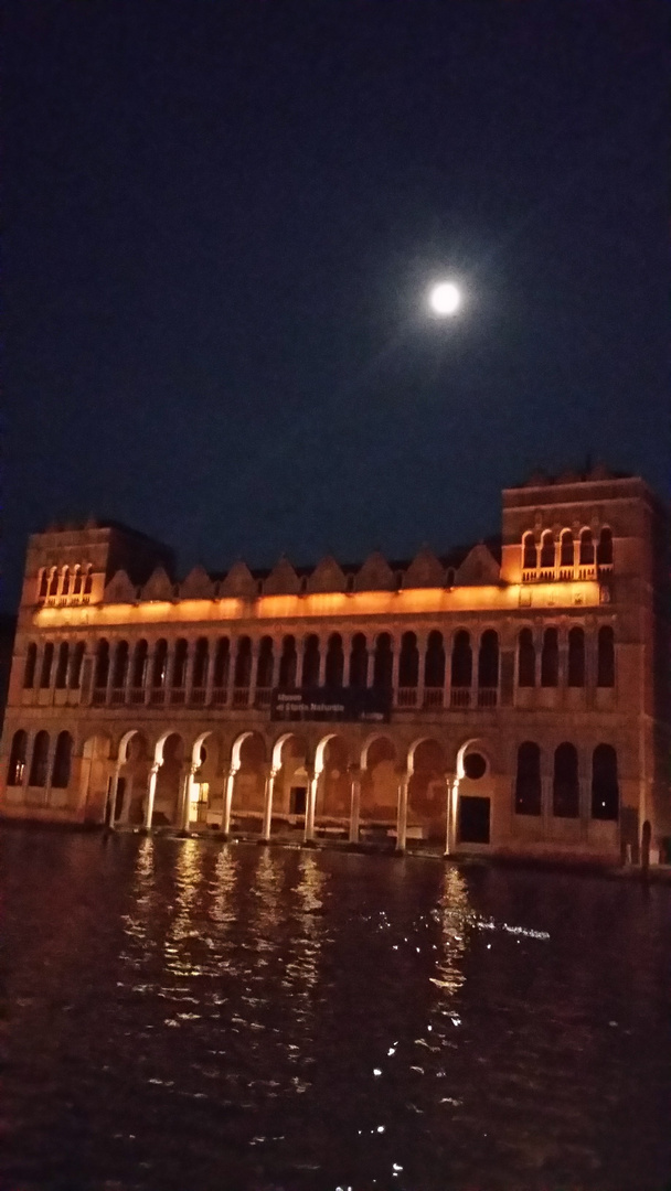 Venezia e la sua notte