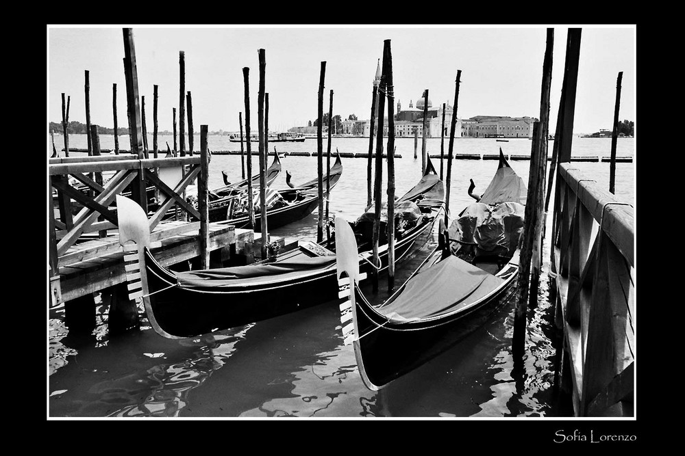 Venezia