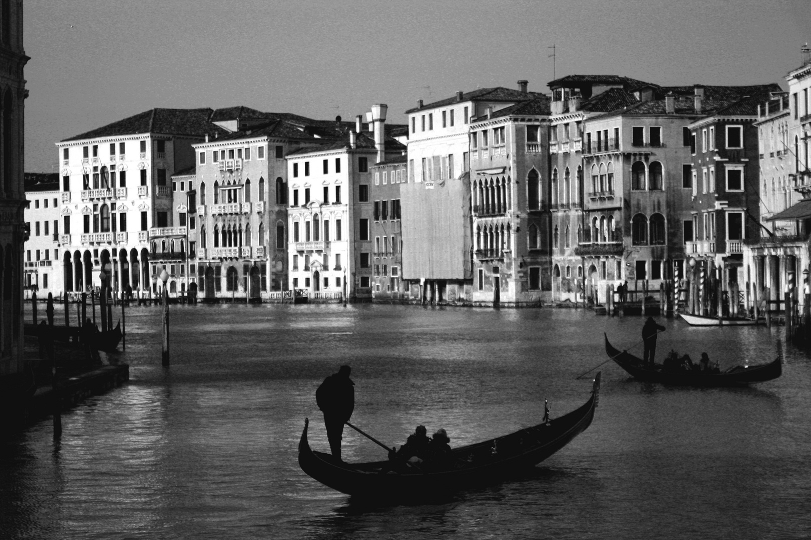 Venezia