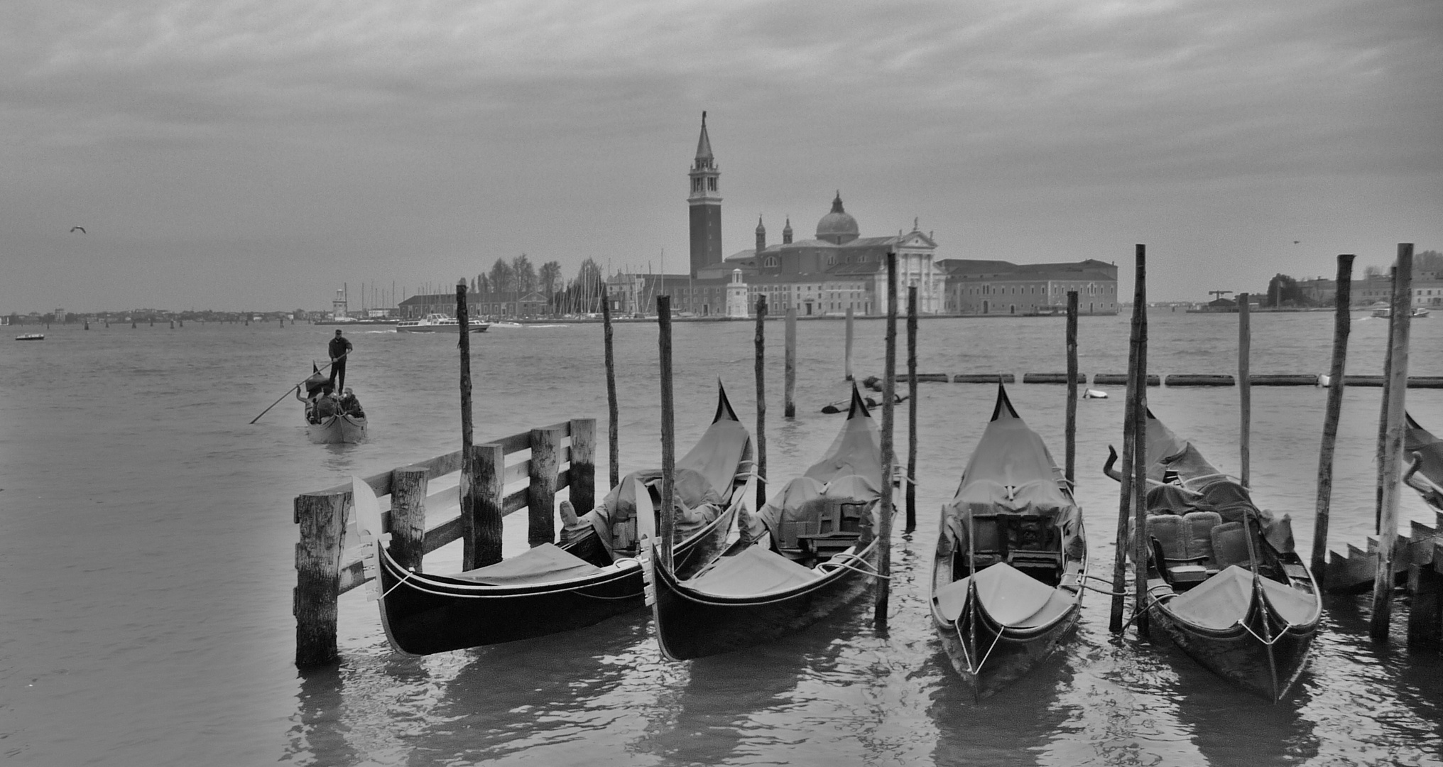 Venezia en blanco y negro