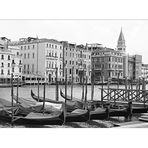 " venezia"