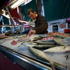 Venezia : Fish Market ( Rialto Pescheria)