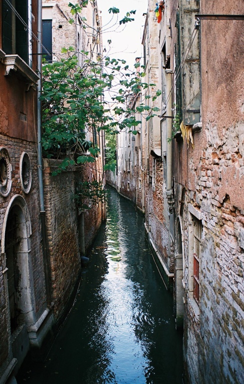 Venezia III.