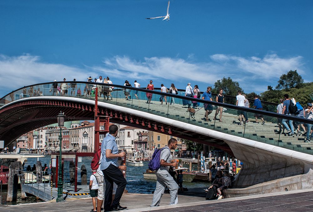 Venezia, il ponte di Calatrava