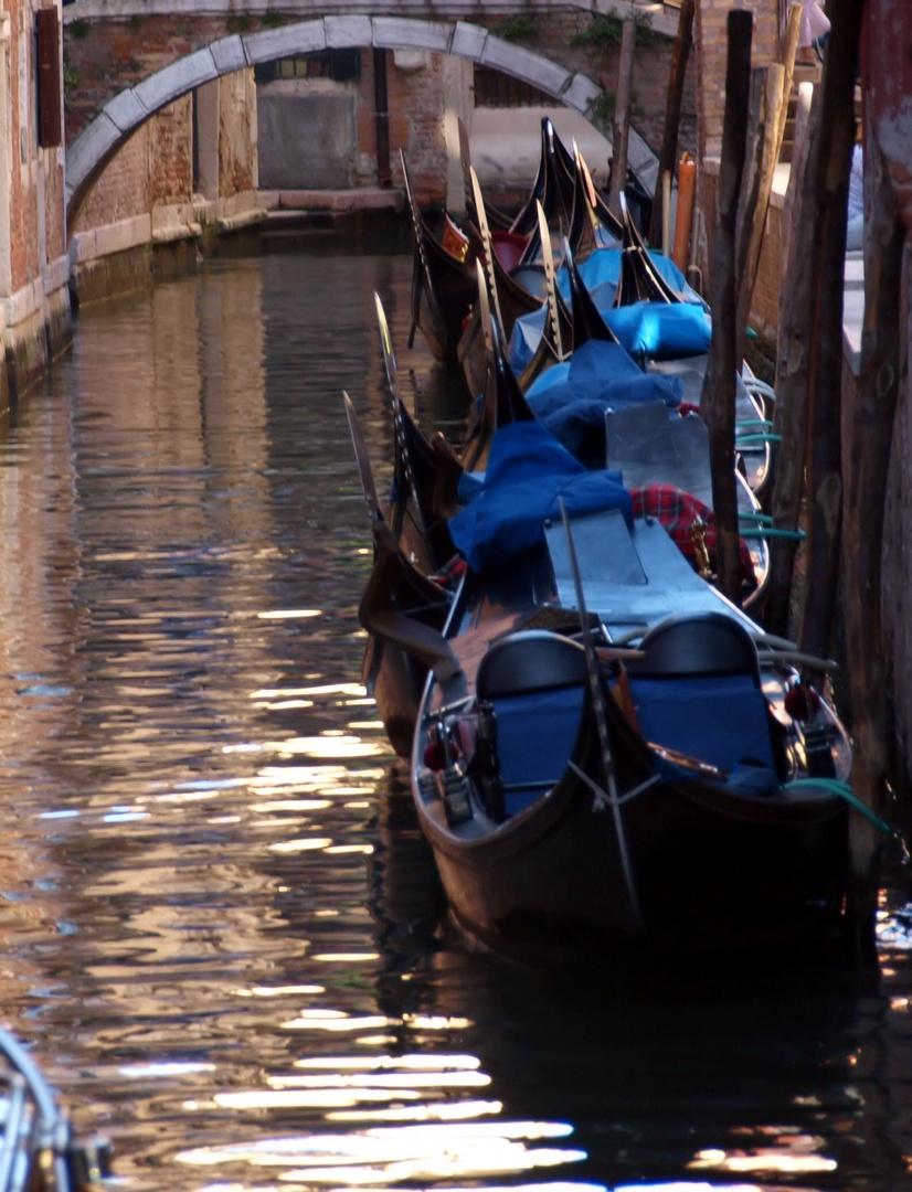 Venezia... La città più bella del mondo