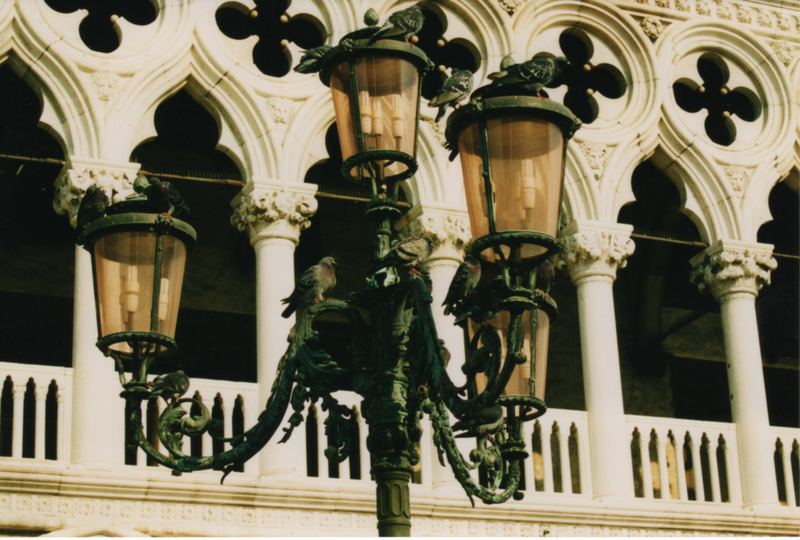 Venezia, lampione e piccioni