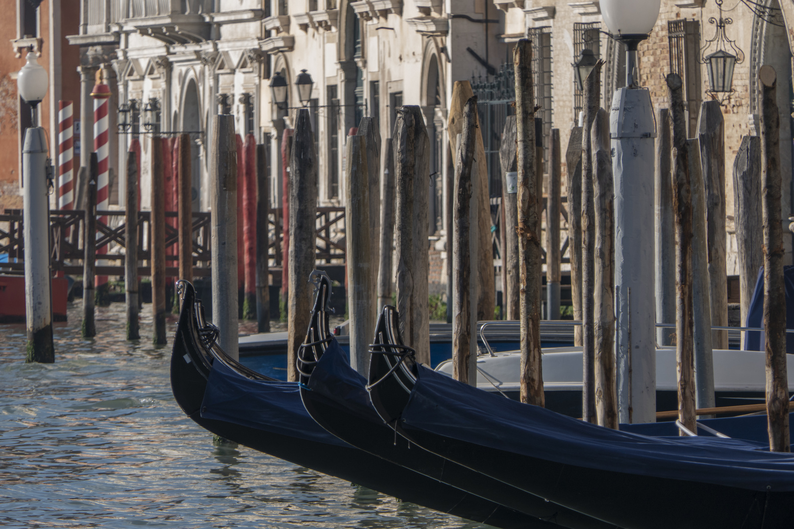 Venezia - le tue gondole