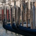 Venezia - le tue gondole