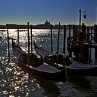 Venezia magica