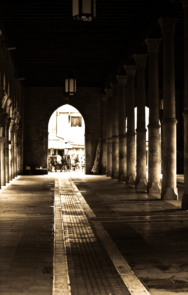 venezia mercato del pesce