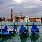 Venezia, mio amore