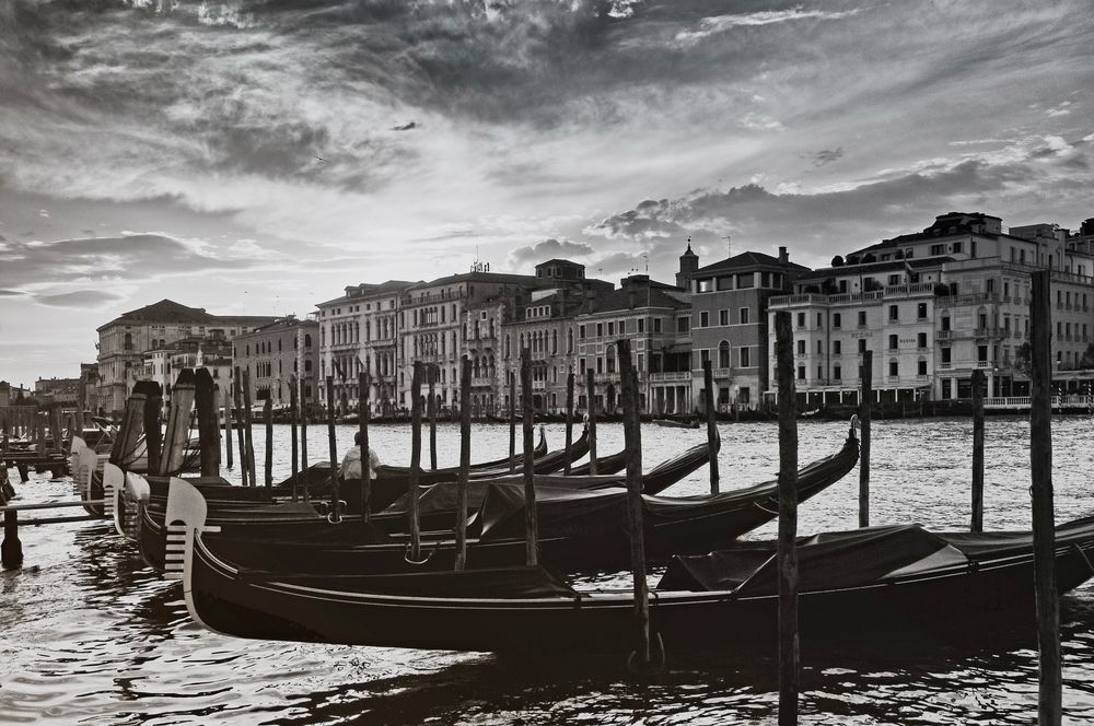 VENEZIA SILBERNIGHT