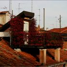 Venezia: Terrazza