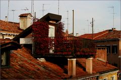 Venezia: Terrazza