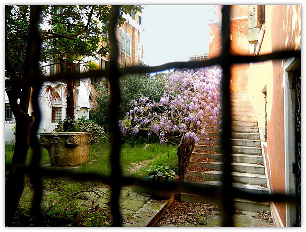 Venezia: un giardino segreto