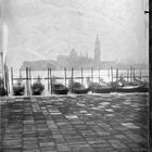 Venezia Wet Plate Ambrotype Ambrotypie