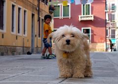 venezianische Begrüßung