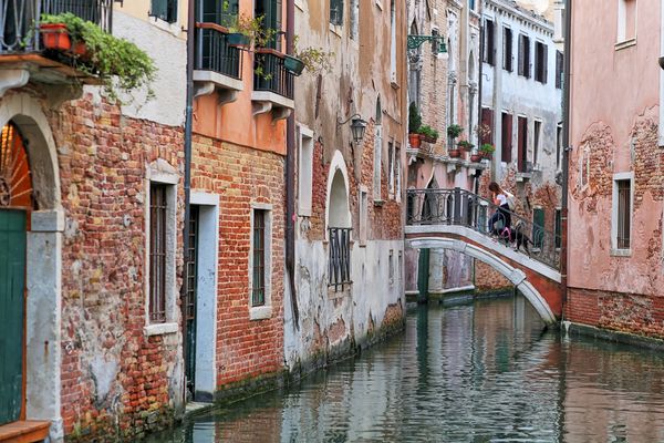 Venezianische Blumen