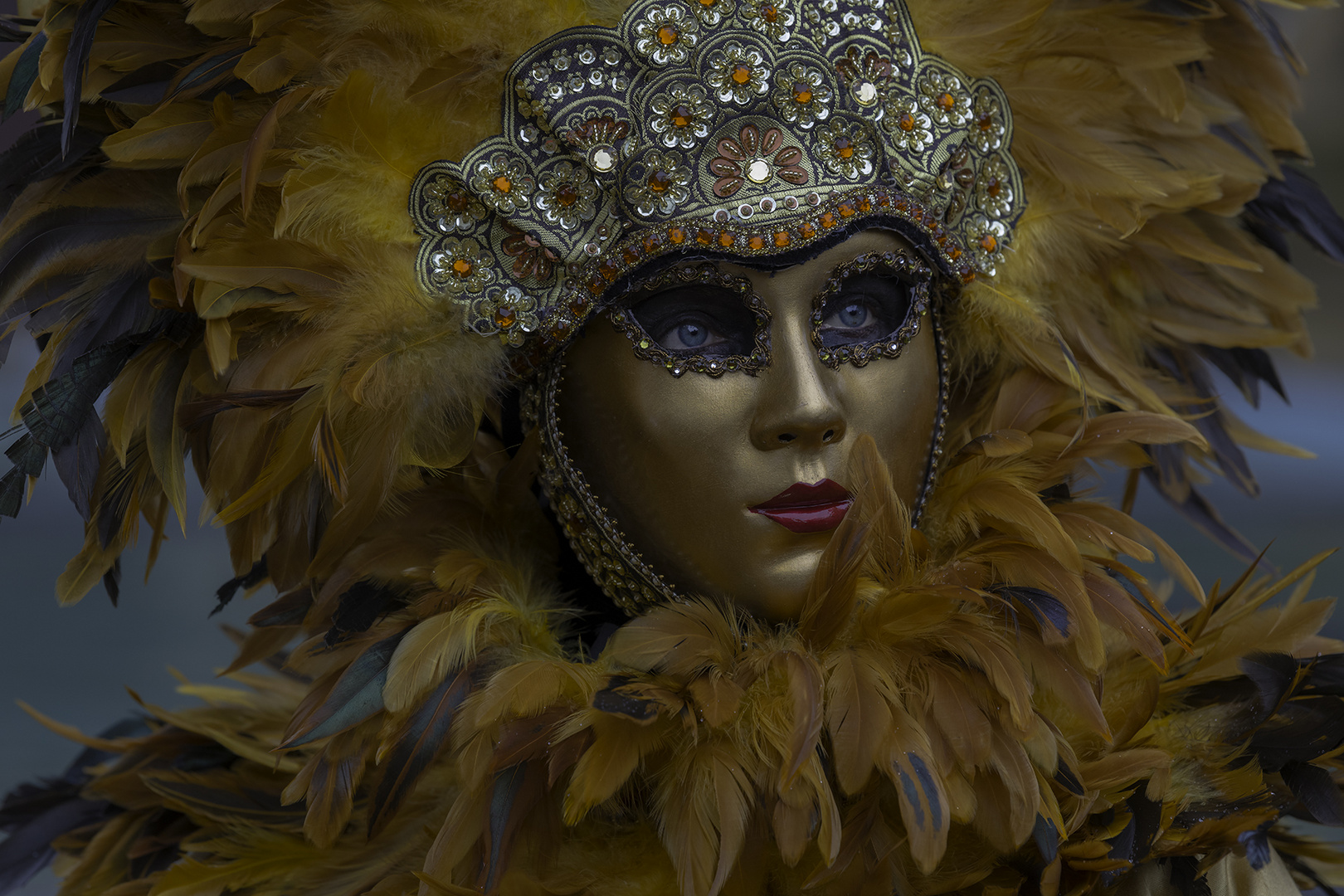 Venezianische Maske Foto Bild reportage dokumentation Venezianische Maske Foto Bild reportage dokumentation
