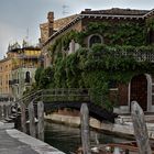 Venezianische Träumereien - Grappa, Prosecco und  Venedig
