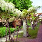 Venezianischer Garten auf der Insel Giudecca