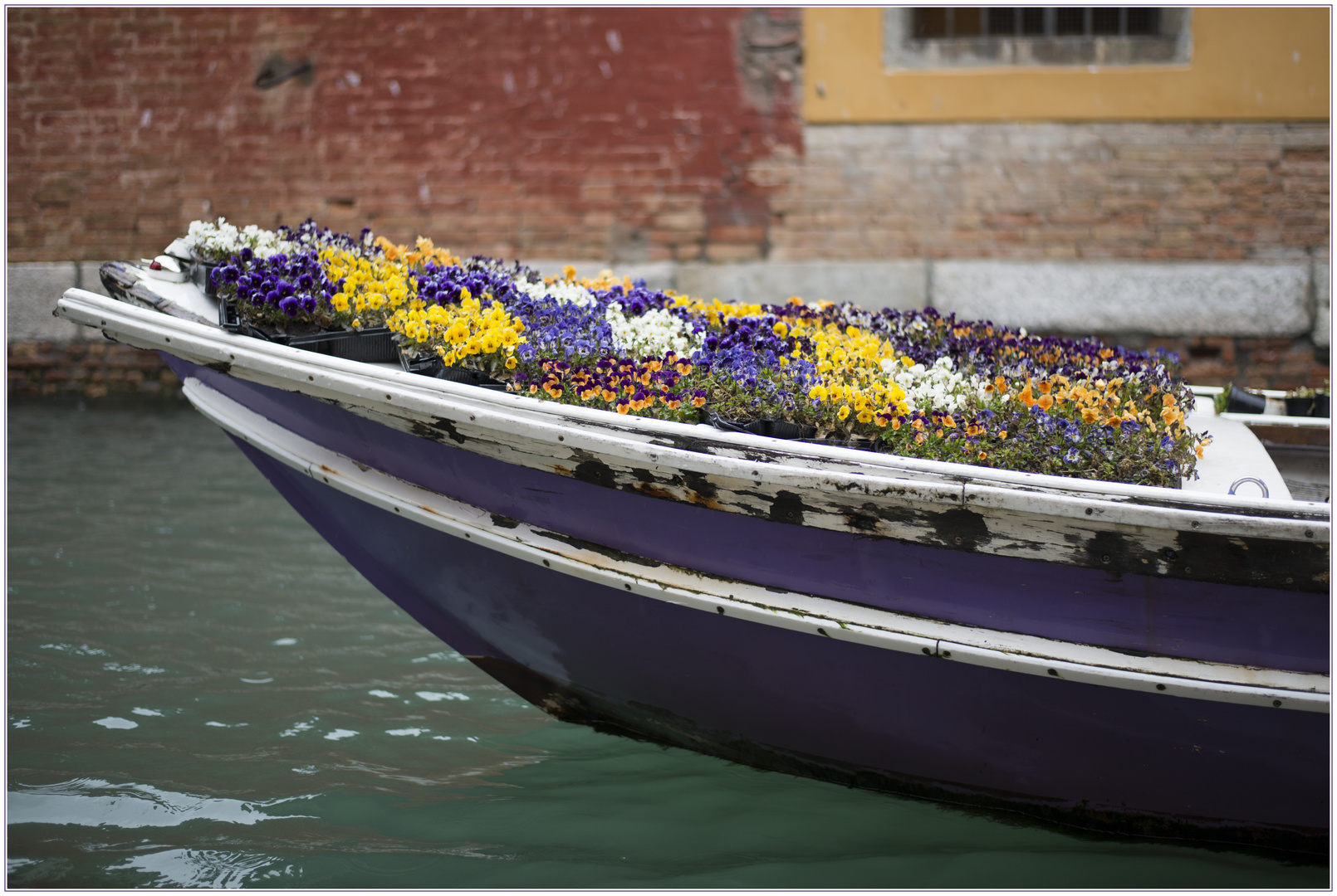 Venezianisches Blumenbeet