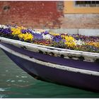 Venezianisches Blumenbeet