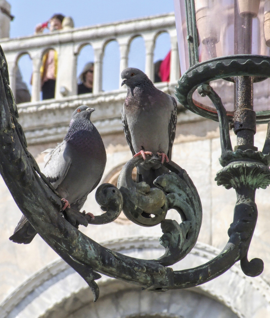 venezianisches Detail