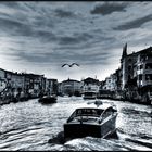 VENEZIANO