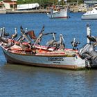 Venezuela 2007,im Hafen von Juangriego auf Isla de Magarita