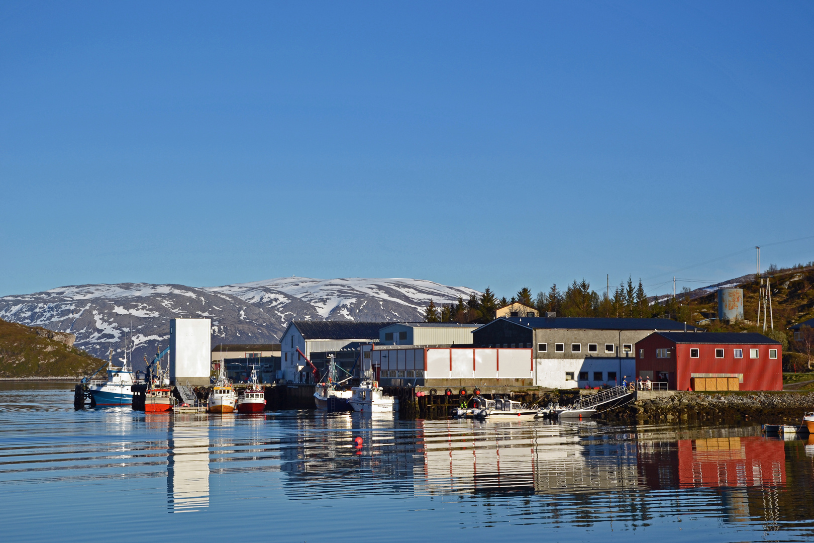 Vengsøy