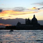 Venice 1