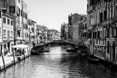 Venice 23