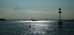 Venice 36