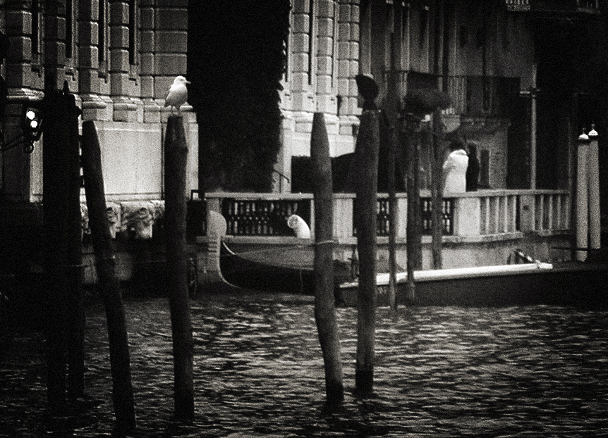 venice 6