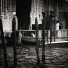 venice 6