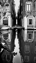 venice anders