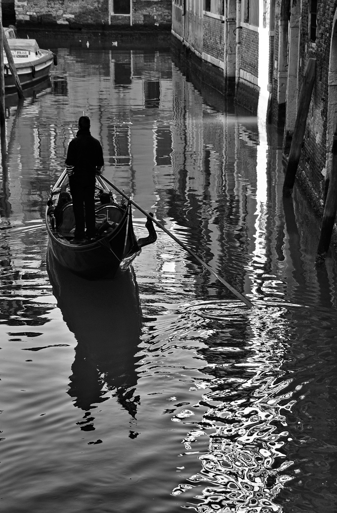 venice anders VI