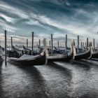 Venice Awakening II