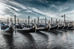 Venice Awakening II