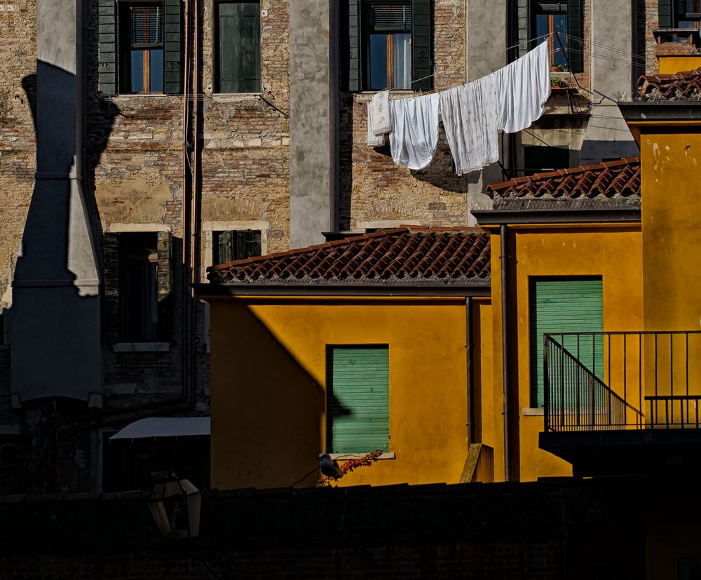 venice backyard