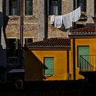 venice backyard